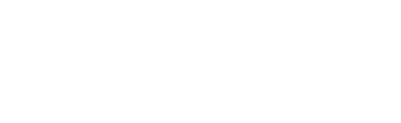 NZBS Ara